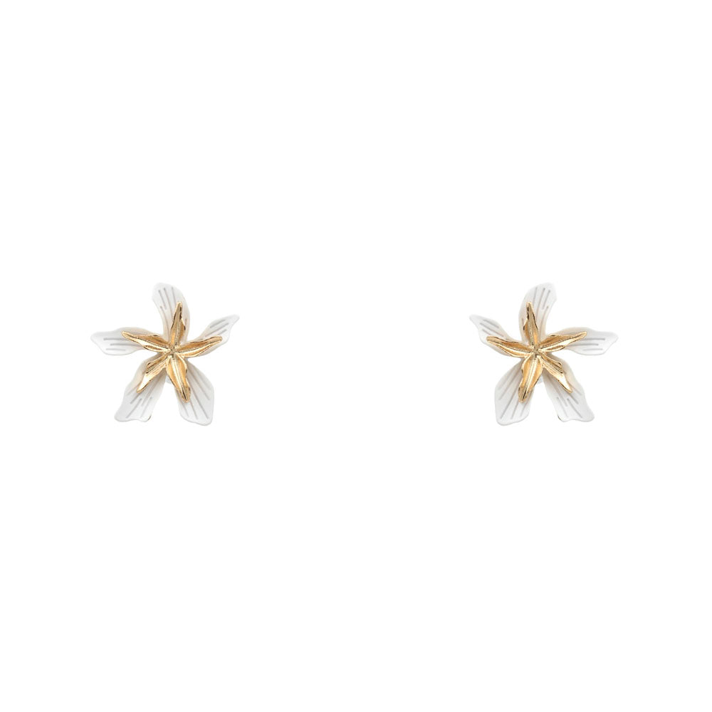 3250397 EARRINGS