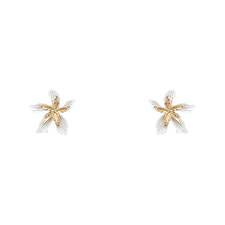3250397 EARRINGS
