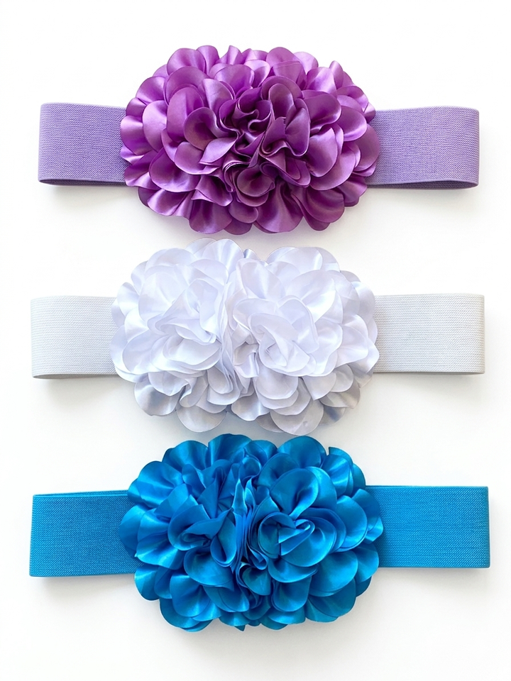 4230300 BELT
