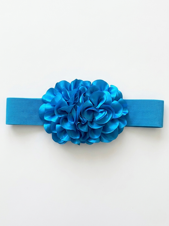 4230300 BELT