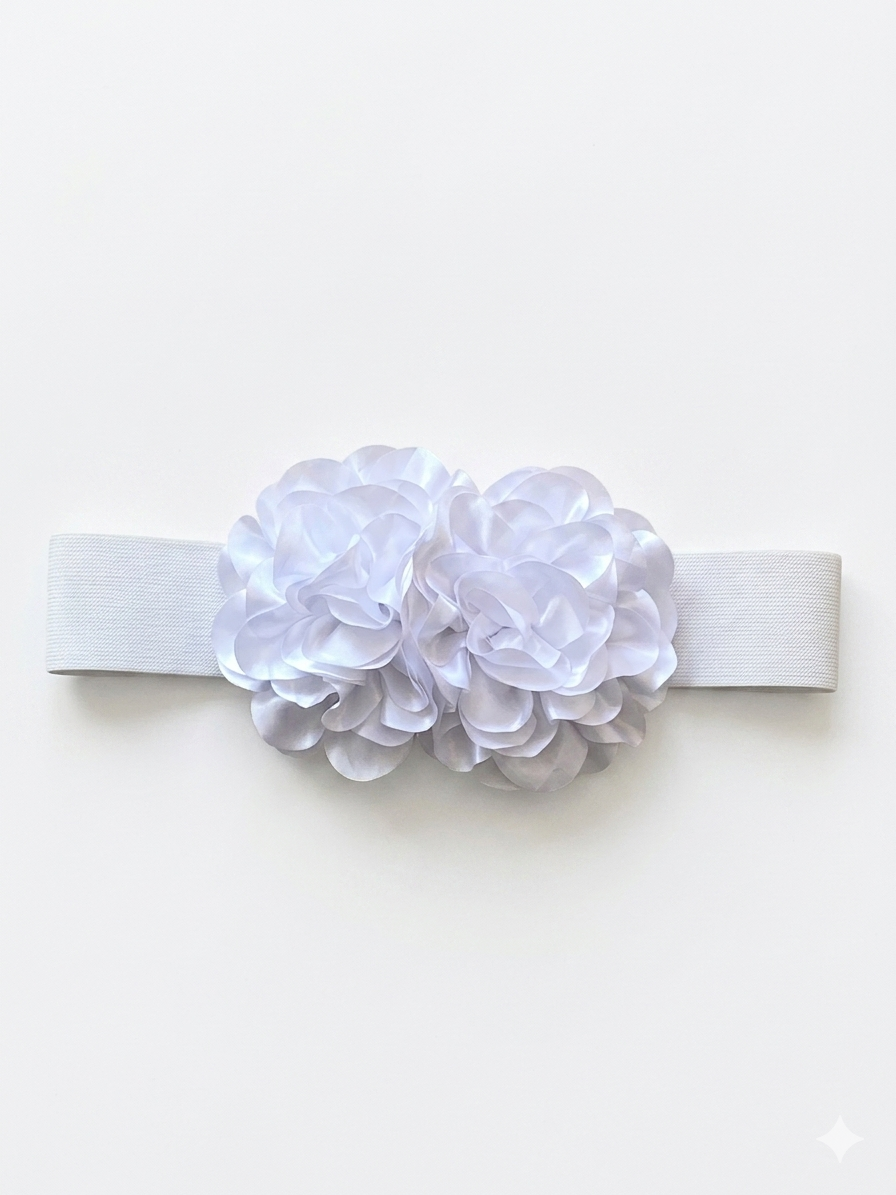 4230300 BELT
