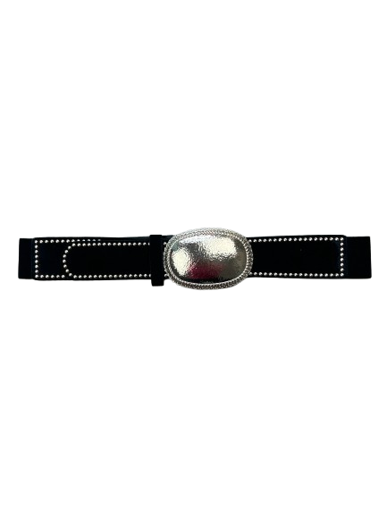 4260404 BELT