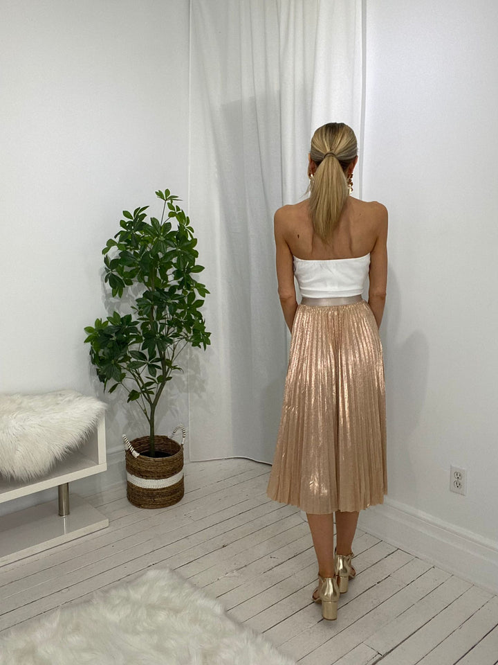 4230134 SKIRT