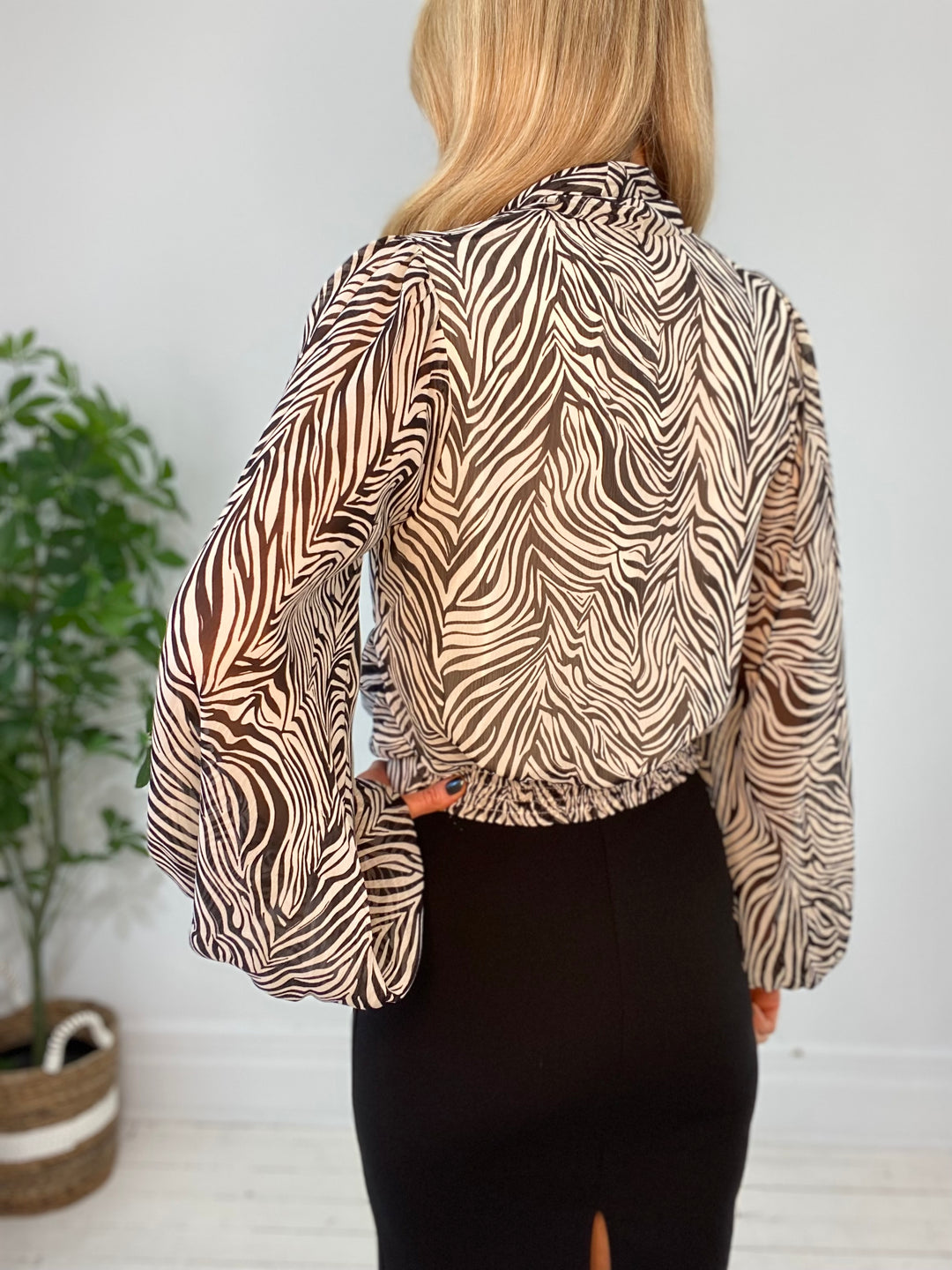 8230081 TOP
