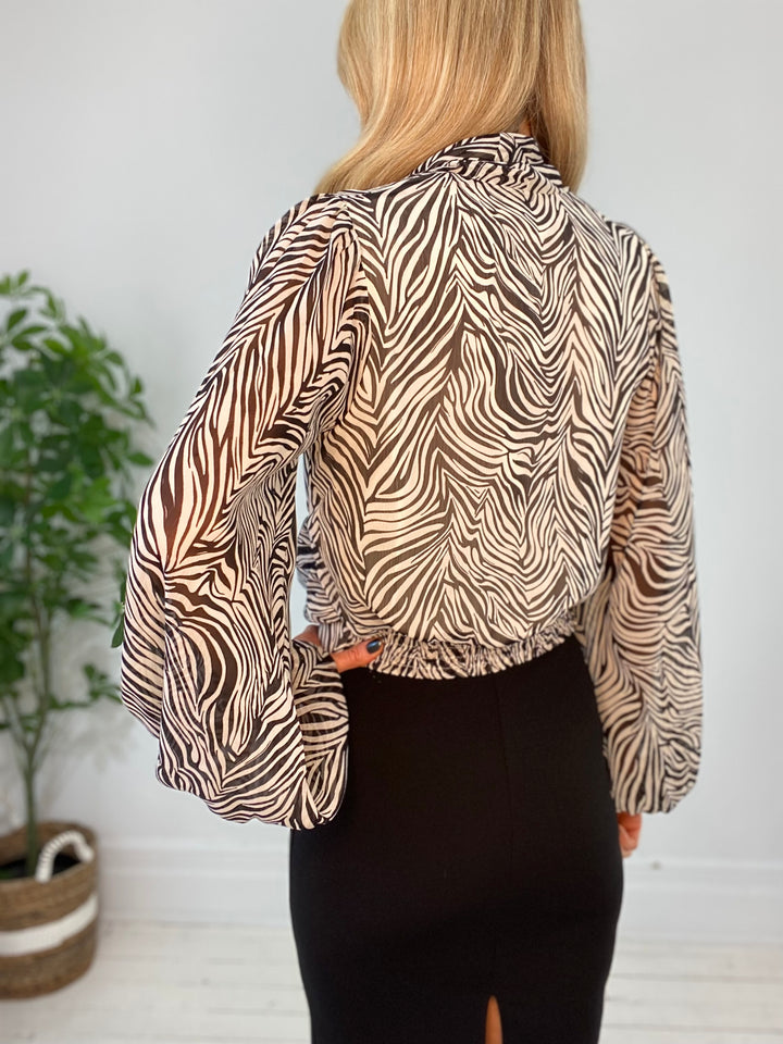 8230081 TOP