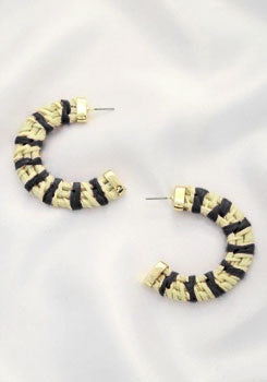 2230285 EARRINGS