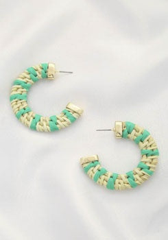 2230286 EARRINGS